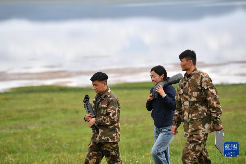 必发88有什么用